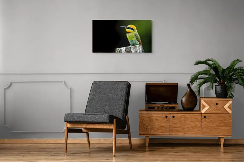 Tablou Canvas, "Pasărea în culori vibrante pe stâlp", Colorat, Vibrant, Păsărește, Exuberant, Splendid, Luminos, Natură, Contraste, Feeric, Exotic, 90 x 50 cm – poza 6