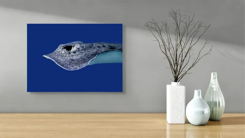 Tablou Canvas, "Pasărea albastră a adâncurilor misterioase", Pisică-De-Mare, Albastru, Ocean, Eleganță, Grație, Apă, Subacvatic, Culoare, Liniște, Formă, 54 x 39 cm – poza 3