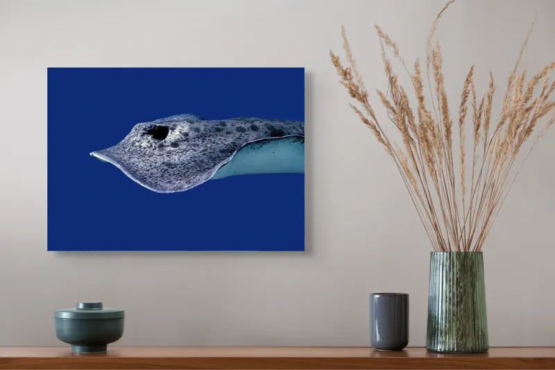 Tablou Canvas, "Pasărea albastră a adâncurilor misterioase", Pisică-De-Mare, Albastru, Ocean, Eleganță, Grație, Apă, Subacvatic, Culoare, Liniște, Formă, 54 x 39 cm – poza 4
