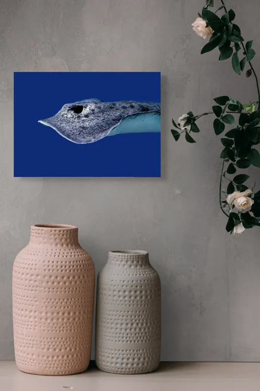 Tablou Canvas, "Pasărea albastră a adâncurilor misterioase", Pisică-De-Mare, Albastru, Ocean, Eleganță, Grație, Apă, Subacvatic, Culoare, Liniște, Formă, 54 x 39 cm – poza 8