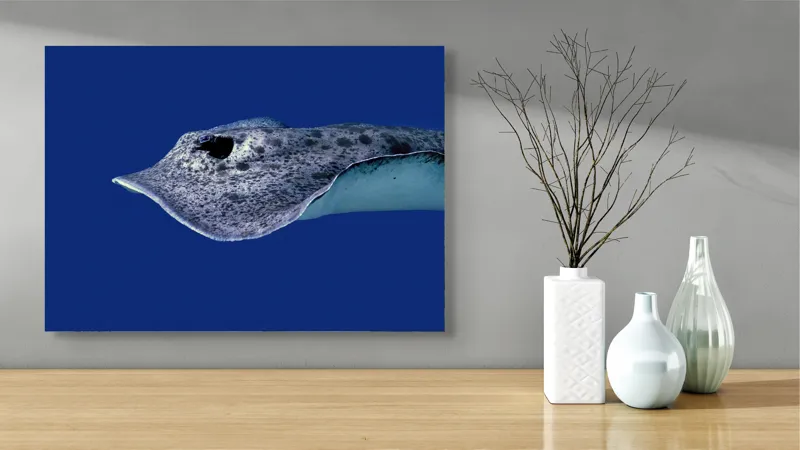 Tablou Canvas, "Pasărea albastră a adâncurilor misterioase", Pisică-De-Mare, Albastru, Ocean, Eleganță, Grație, Apă, Subacvatic, Culoare, Liniște, Formă, 70 x 50 cm – poza 3