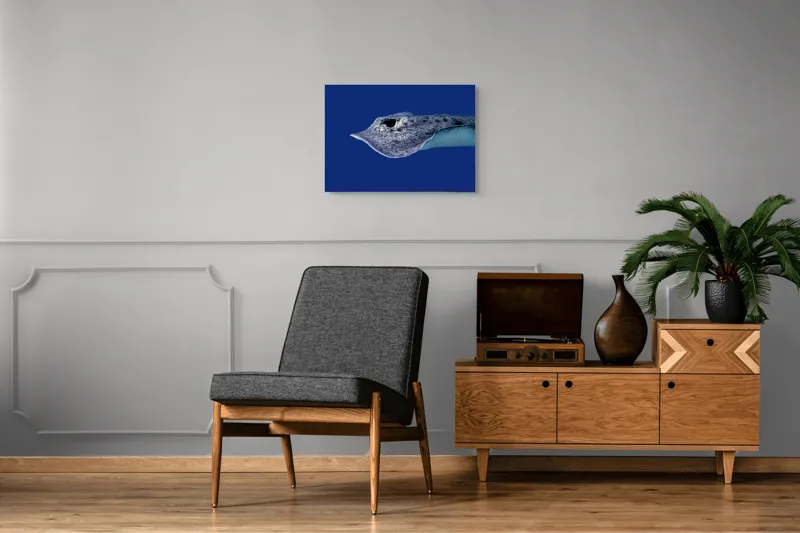 Tablou Canvas, "Pasărea albastră a adâncurilor misterioase", Pisică-De-Mare, Albastru, Ocean, Eleganță, Grație, Apă, Subacvatic, Culoare, Liniște, Formă, 70 x 50 cm – poza 4