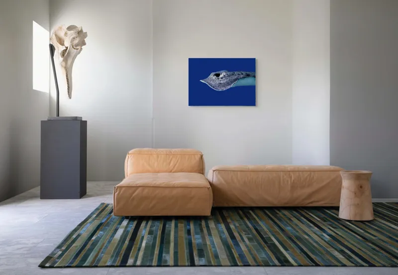 Tablou Canvas, "Pasărea albastră a adâncurilor misterioase", Pisică-De-Mare, Albastru, Ocean, Eleganță, Grație, Apă, Subacvatic, Culoare, Liniște, Formă, 70 x 50 cm – poza 8