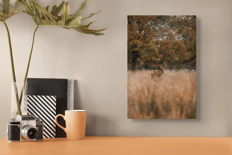 Tablou Canvas, "Cerbul în pădurea de toamnă", Cerb, Pădure, Iarbă, Toamnă, Copaci, Frunze, Natură, Calm, Rustic, 26 x 39 cm – poza 3