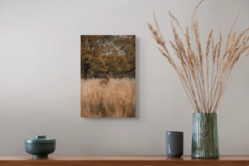 Tablou Canvas, "Cerbul în pădurea de toamnă", Cerb, Pădure, Iarbă, Toamnă, Copaci, Frunze, Natură, Calm, Rustic, 26 x 39 cm – poza 5