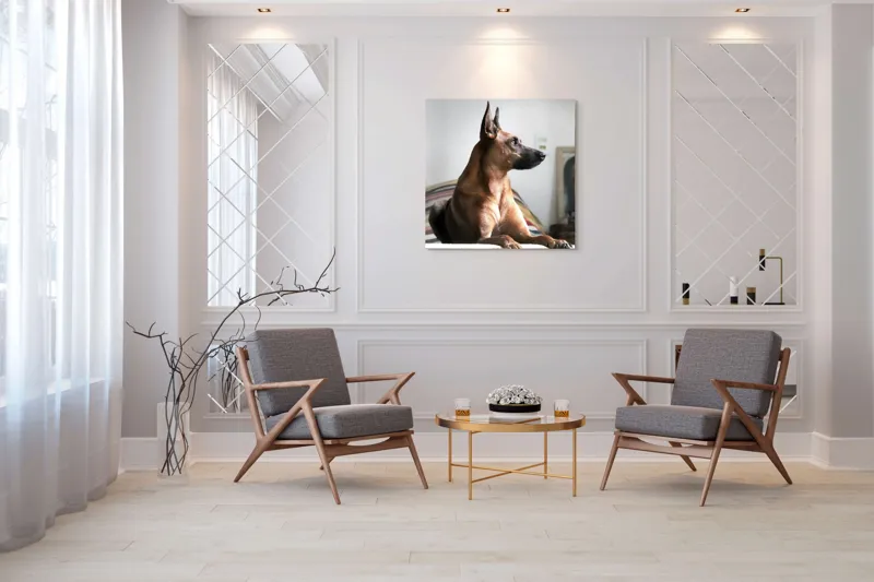 Tablou Canvas, "Câine elegant contemplând orizontul liniștit", 100 x 100 cm – poza 7