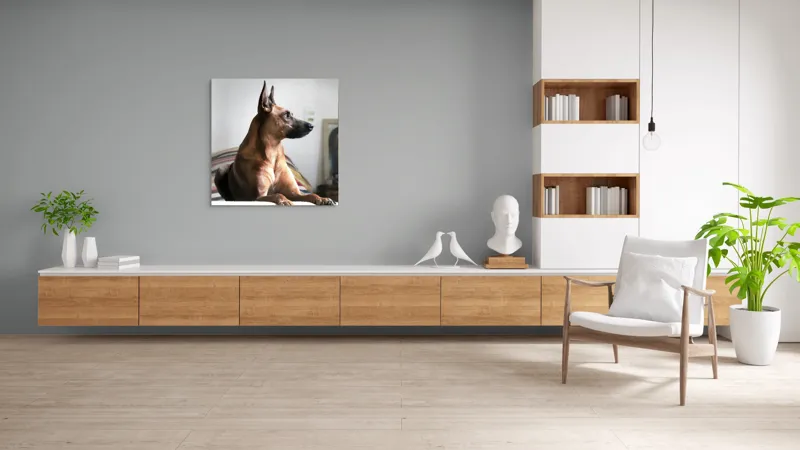 Tablou Canvas, "Câine elegant contemplând orizontul liniștit", 100 x 100 cm – poza 8