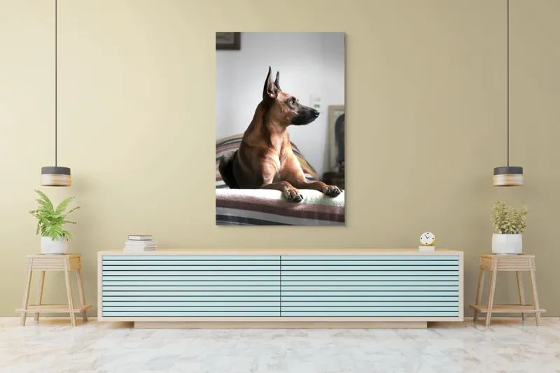 Tablou Canvas, "Câine elegant contemplând orizontul liniștit", 100 x 150 cm – poza 4