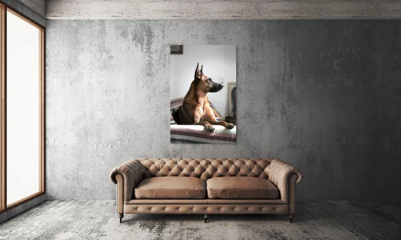 Tablou Canvas, "Câine elegant contemplând orizontul liniștit", 100 x 150 cm – poza 6