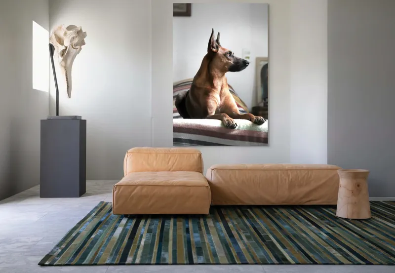 Tablou Canvas, "Câine elegant contemplând orizontul liniștit", 100 x 150 cm – poza 7