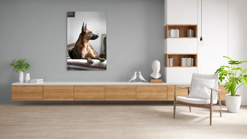Tablou Canvas, "Câine elegant contemplând orizontul liniștit", 100 x 150 cm – poza 8