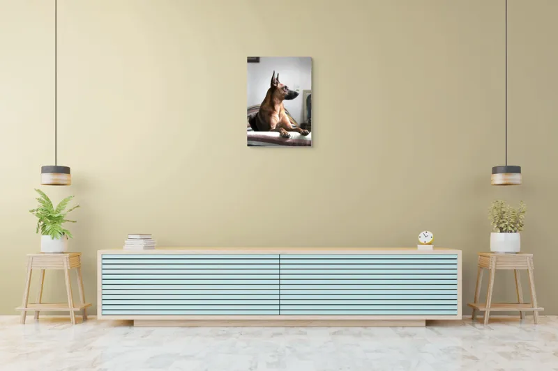 Tablou Canvas, "Câine elegant contemplând orizontul liniștit", 50 x 70 cm – poza 6