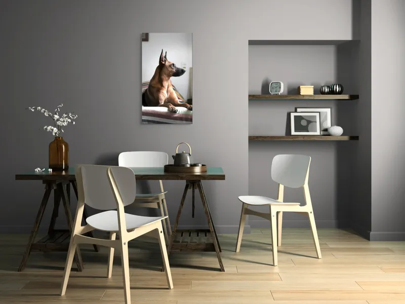 Tablou Canvas, "Câine elegant contemplând orizontul liniștit", 50 x 90 cm – poza 4