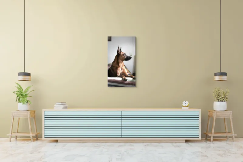 Tablou Canvas, "Câine elegant contemplând orizontul liniștit", 50 x 90 cm – poza 6