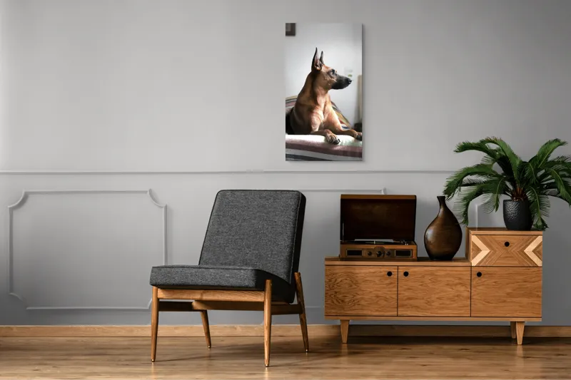 Tablou Canvas, "Câine elegant contemplând orizontul liniștit", 50 x 90 cm – poza 8