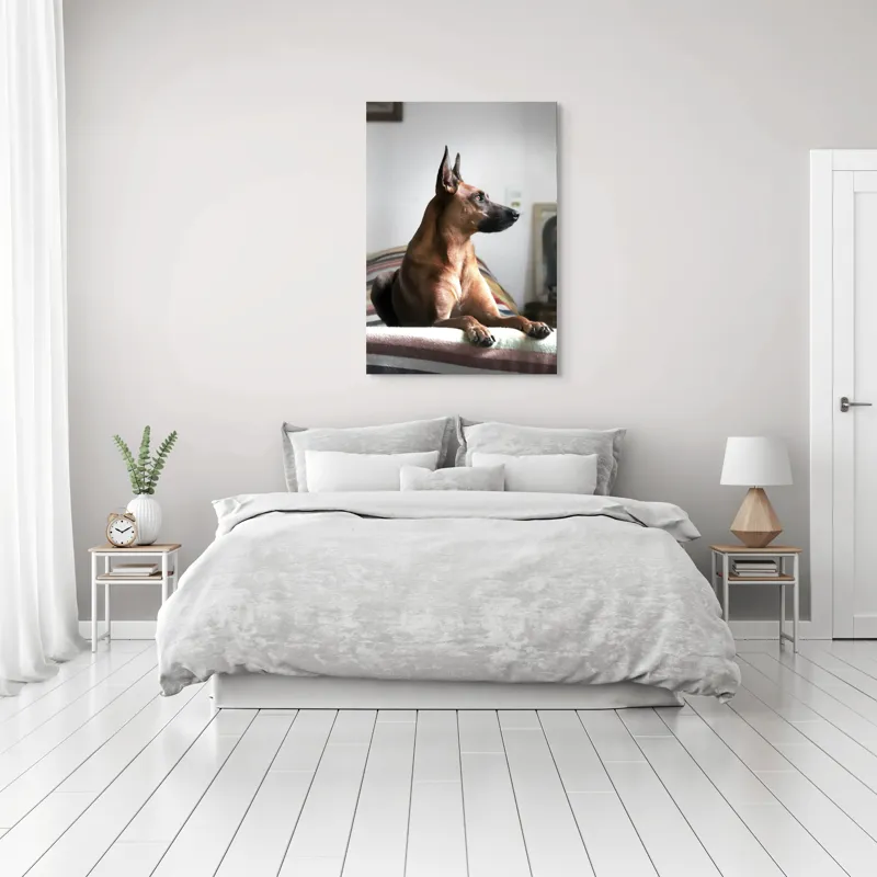 Tablou Canvas, "Câine elegant contemplând orizontul liniștit", 70 x 100 cm – poza 3