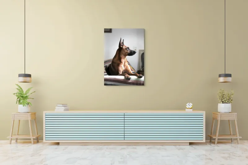 Tablou Canvas, "Câine elegant contemplând orizontul liniștit", 70 x 100 cm – poza 5