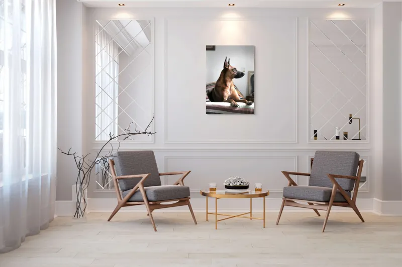 Tablou Canvas, "Câine elegant contemplând orizontul liniștit", 70 x 100 cm – poza 8