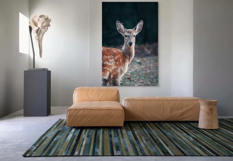 Tablou Canvas, "Văzut în pădurea adâncă de toamnă", 100 x 150 cm – poza 7