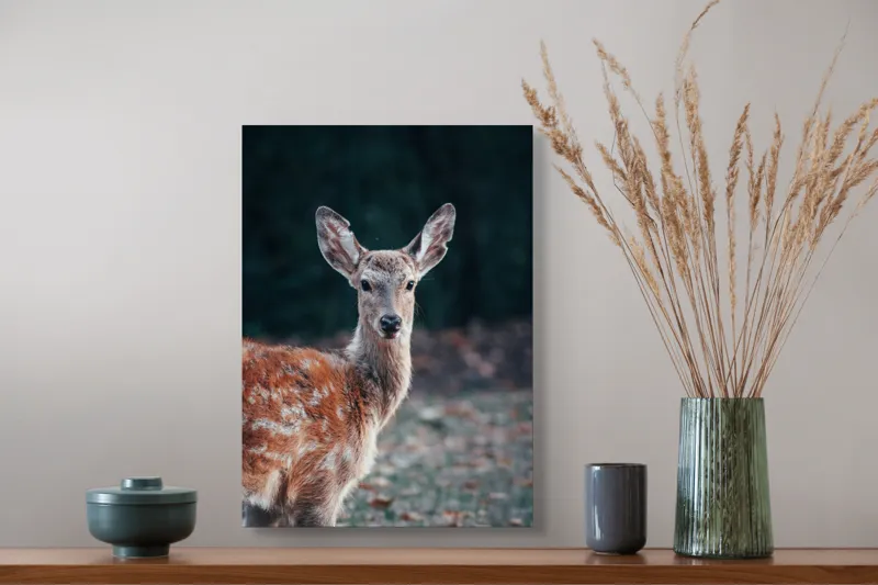 Tablou Canvas, "Văzut în pădurea adâncă de toamnă", Nu pot identifica cine este în imagine, dar îți pot spune că acesta este un pui de cerb., 39 x 54 cm – poza 3