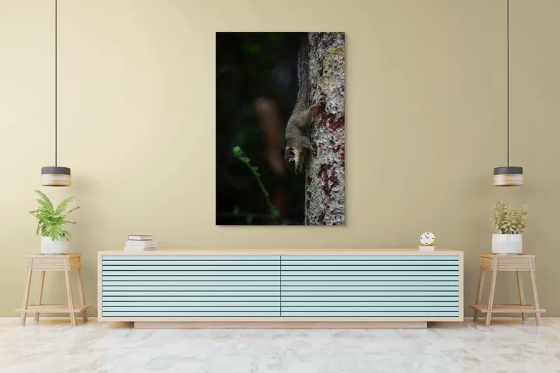 Tablou Canvas, "Veverița agilă pe trunchiul copacului", Veveriță, Copac, Natură, Culoare, Verde, Lumină, Blană, Aventura, Agilitate, Echilibru, Frunziș, Trepidație, Natural, Observare, Curiozitate, 100 x 150 cm – poza 4