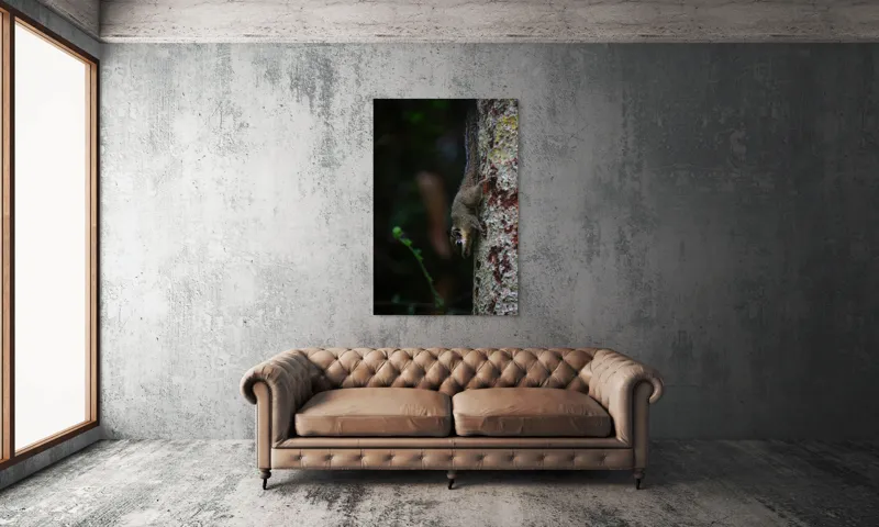 Tablou Canvas, "Veverița agilă pe trunchiul copacului", Veveriță, Copac, Natură, Culoare, Verde, Lumină, Blană, Aventura, Agilitate, Echilibru, Frunziș, Trepidație, Natural, Observare, Curiozitate, 100 x 150 cm – poza 6