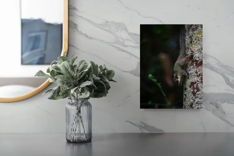Tablou Canvas, "Veverița agilă pe trunchiul copacului", Veveriță, Copac, Natură, Culoare, Verde, Lumină, Blană, Aventura, Agilitate, Echilibru, Frunziș, Trepidație, Natural, Observare, Curiozitate, 26 x 39 cm – poza 4