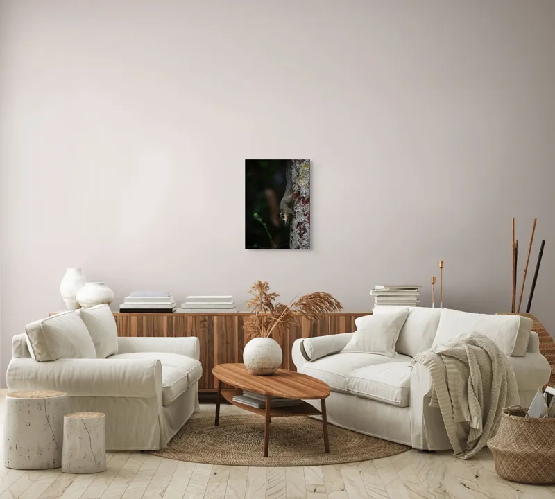 Tablou Canvas, "Veverița agilă pe trunchiul copacului", Veveriță, Copac, Natură, Culoare, Verde, Lumină, Blană, Aventura, Agilitate, Echilibru, Frunziș, Trepidație, Natural, Observare, Curiozitate, 39 x 54 cm – poza 5