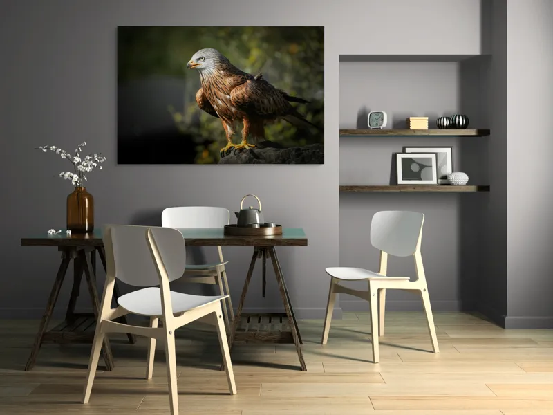 Tablou Canvas, "Privighetoarea cerurilor pe stâncă ", Majestuos, Vultur, Penaj, Privire, Stâncă, Natură, Cer, Sălbăticie., 150 x 100 cm – poza 5