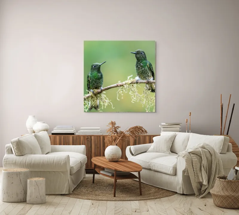 Tablou Canvas, "Colibri pe creanga acoperită de mușchi", Păsări, Colibri, Verde, Ramură, Natură, Penaj, Delicateţe., 100 x 100 cm – poza 3