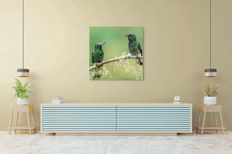 Tablou Canvas, "Colibri pe creanga acoperită de mușchi", Păsări, Colibri, Verde, Ramură, Natură, Penaj, Delicateţe., 100 x 100 cm – poza 5
