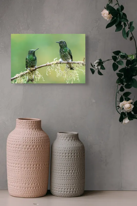 Tablou Canvas, "Colibri pe creanga acoperită de mușchi", Păsări, Colibri, Verde, Ramură, Natură, Penaj, Delicateţe., 39 x 26 cm – poza 4