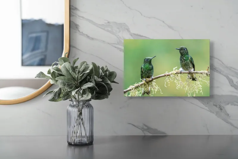 Tablou Canvas, "Colibri pe creanga acoperită de mușchi", Păsări, Colibri, Verde, Ramură, Natură, Penaj, Delicateţe., 39 x 26 cm – poza 5