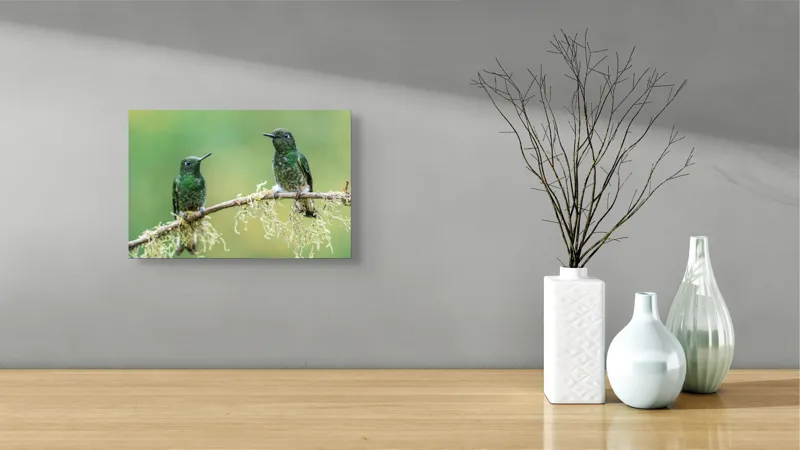 Tablou Canvas, "Colibri pe creanga acoperită de mușchi", Păsări, Colibri, Verde, Ramură, Natură, Penaj, Delicateţe., 39 x 26 cm – poza 8