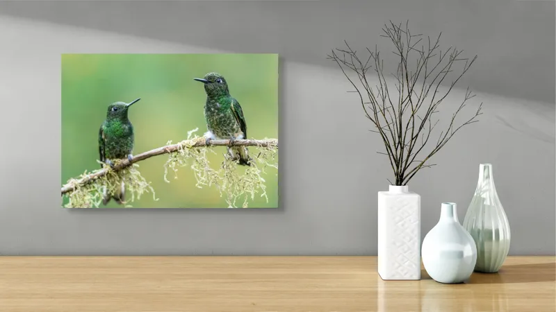 Tablou Canvas, "Colibri pe creanga acoperită de mușchi", Păsări, Colibri, Verde, Ramură, Natură, Penaj, Delicateţe., 54 x 39 cm – poza 3