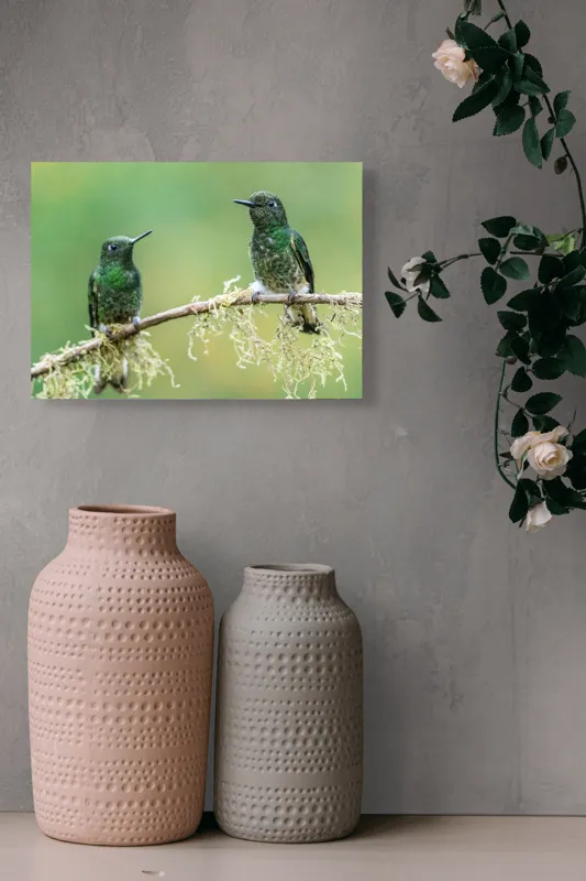 Tablou Canvas, "Colibri pe creanga acoperită de mușchi", Păsări, Colibri, Verde, Ramură, Natură, Penaj, Delicateţe., 54 x 39 cm – poza 8