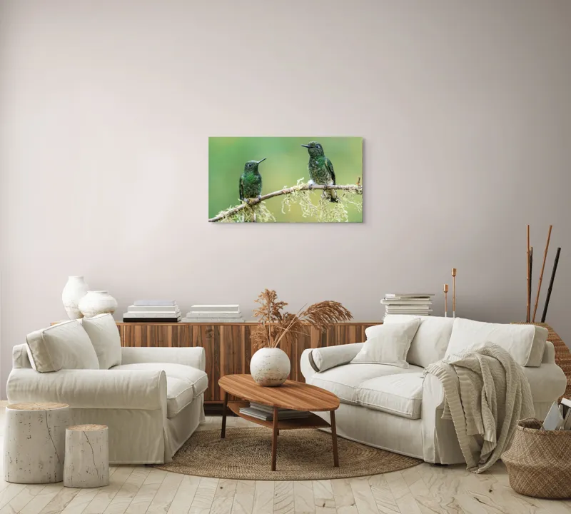 Tablou Canvas, "Colibri pe creanga acoperită de mușchi", Păsări, Colibri, Verde, Ramură, Natură, Penaj, Delicateţe., 90 x 50 cm – poza 4