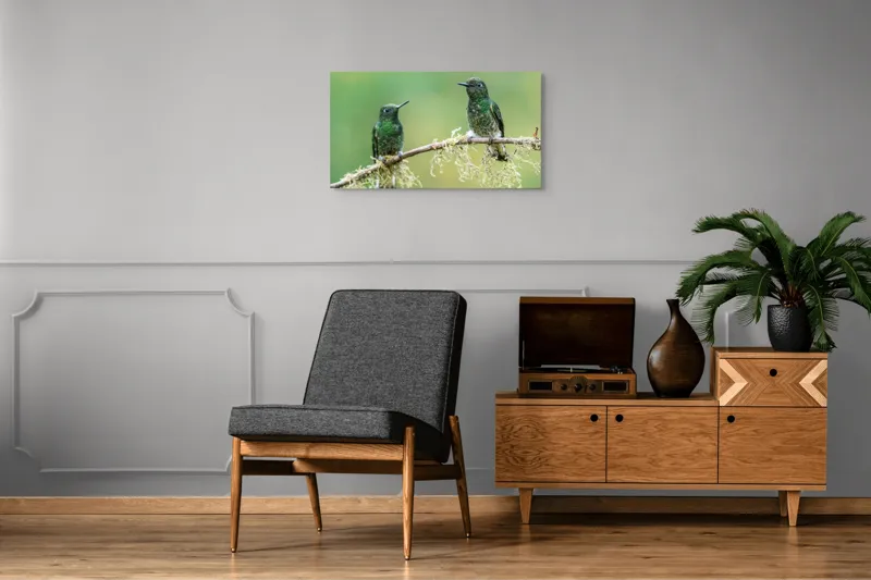 Tablou Canvas, "Colibri pe creanga acoperită de mușchi", Păsări, Colibri, Verde, Ramură, Natură, Penaj, Delicateţe., 90 x 50 cm – poza 6