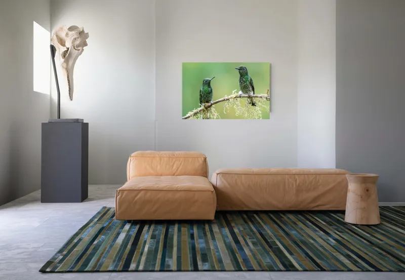 Tablou Canvas, "Colibri pe creanga acoperită de mușchi", Păsări, Colibri, Verde, Ramură, Natură, Penaj, Delicateţe., 90 x 50 cm – poza 8