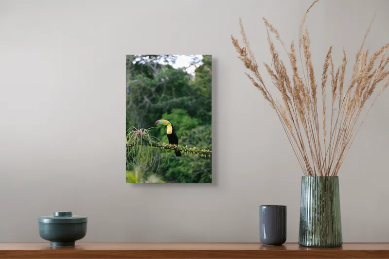 Tablou Canvas, "Tucanul in habitatul natural verde", Colorat, Exotic, Pădure, Natură, Pasăre, Frunziș, Strălucire, Armonie, Spectacol, Forme., 26 x 39 cm – poza 5