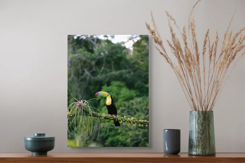 Tablou Canvas, "Tucanul in habitatul natural verde", Colorat, Exotic, Pădure, Natură, Pasăre, Frunziș, Strălucire, Armonie, Spectacol, Forme., 39 x 54 cm – poza 3