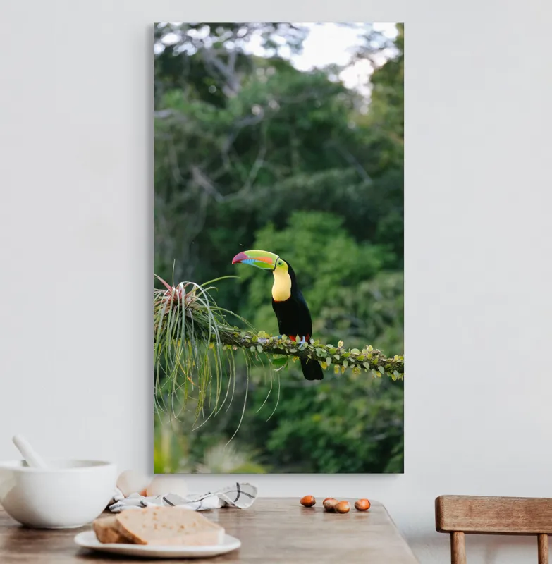 Tablou Canvas, "Tucanul in habitatul natural verde", Colorat, Exotic, Pădure, Natură, Pasăre, Frunziș, Strălucire, Armonie, Spectacol, Forme., 50 x 90 cm – poza 3