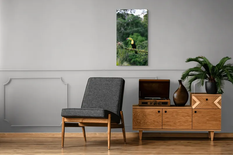 Tablou Canvas, "Tucanul in habitatul natural verde", Colorat, Exotic, Pădure, Natură, Pasăre, Frunziș, Strălucire, Armonie, Spectacol, Forme., 50 x 90 cm – poza 8