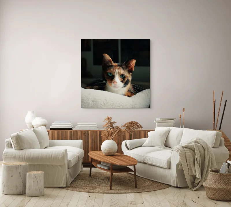 Tablou Canvas, "Pisica observatoare pe așternut alb", Pisică, Blană, Uitătură, Mustăți, Verde, Ochi, Calm, Somnoros, Pătură, Întuneric, Lumină, Relaxare, 100 x 100 cm – poza 3