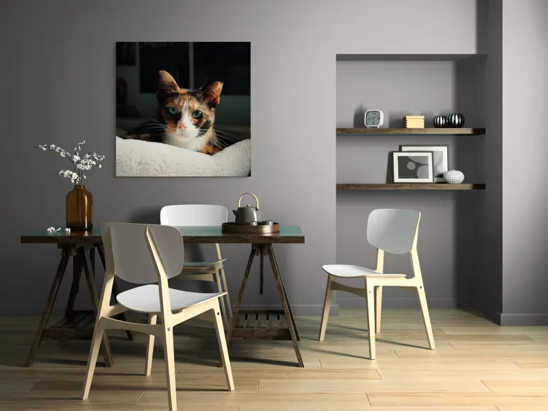 Tablou Canvas, "Pisica observatoare pe așternut alb", Pisică, Blană, Uitătură, Mustăți, Verde, Ochi, Calm, Somnoros, Pătură, Întuneric, Lumină, Relaxare, 100 x 100 cm – poza 6