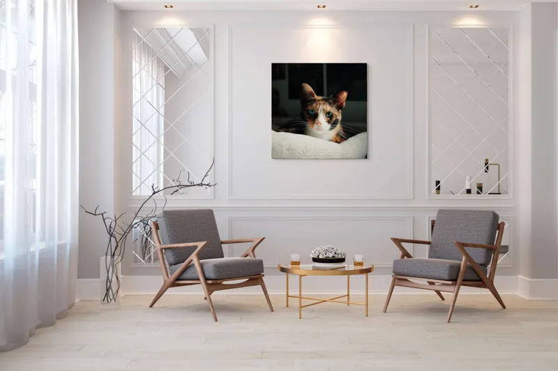 Tablou Canvas, "Pisica observatoare pe așternut alb", Pisică, Blană, Uitătură, Mustăți, Verde, Ochi, Calm, Somnoros, Pătură, Întuneric, Lumină, Relaxare, 100 x 100 cm – poza 7