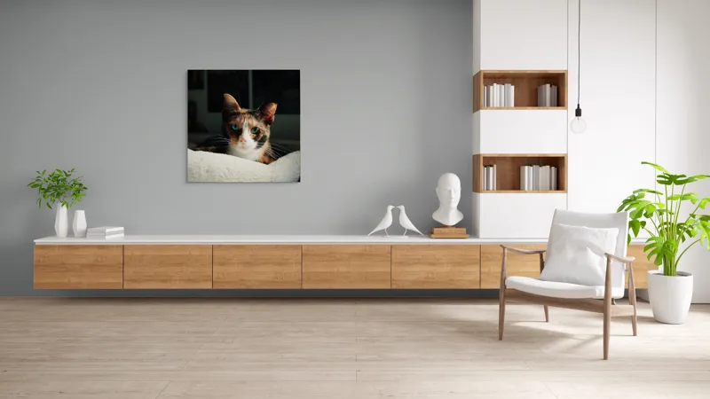 Tablou Canvas, "Pisica observatoare pe așternut alb", Pisică, Blană, Uitătură, Mustăți, Verde, Ochi, Calm, Somnoros, Pătură, Întuneric, Lumină, Relaxare, 100 x 100 cm – poza 8