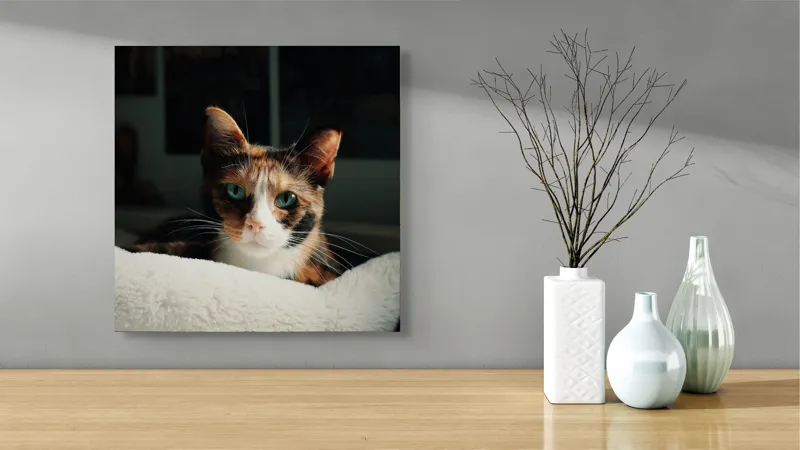 Tablou Canvas, "Pisica observatoare pe așternut alb", Pisică, Blană, Uitătură, Mustăți, Verde, Ochi, Calm, Somnoros, Pătură, Întuneric, Lumină, Relaxare, 50 x 50 cm – poza 3