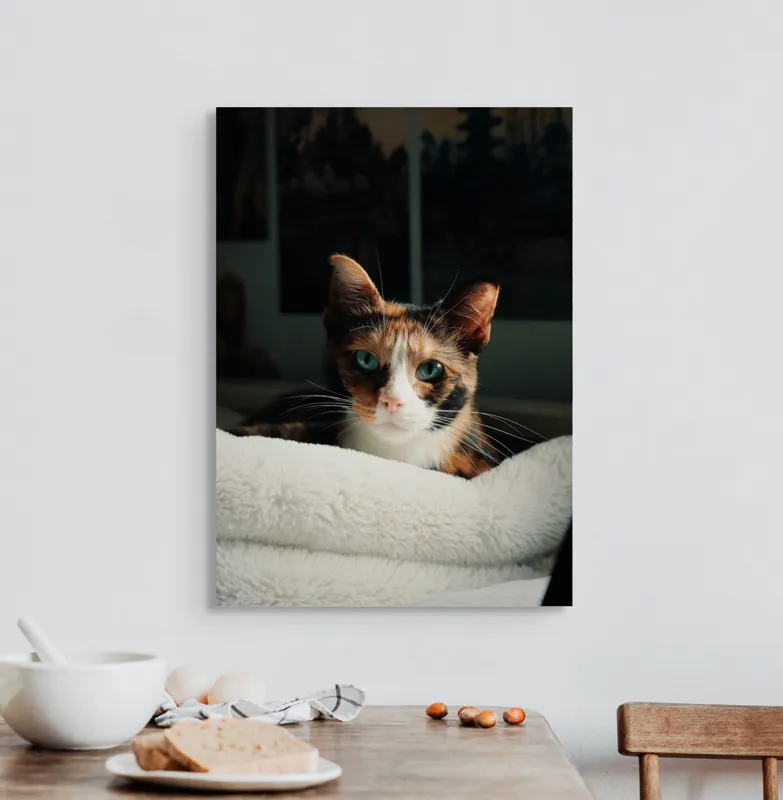 Tablou Canvas, "Pisica observatoare pe așternut alb", Pisică, Blană, Uitătură, Mustăți, Verde, Ochi, Calm, Somnoros, Pătură, Întuneric, Lumină, Relaxare, 50 x 70 cm – poza 3