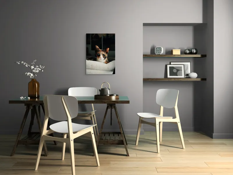 Tablou Canvas, "Pisica observatoare pe așternut alb", Pisică, Blană, Uitătură, Mustăți, Verde, Ochi, Calm, Somnoros, Pătură, Întuneric, Lumină, Relaxare, 50 x 70 cm – poza 5